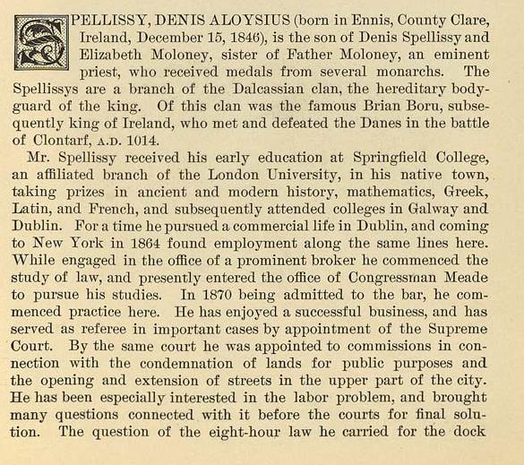 Spellissy, Denis, of NYC,  b. 1846.jpg