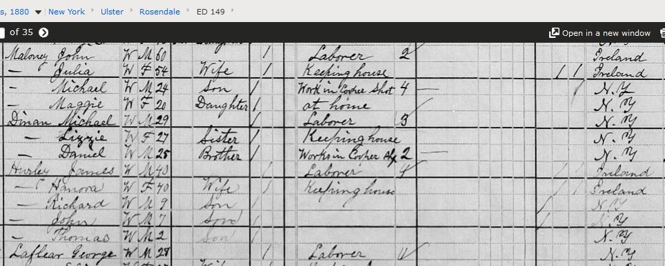 Moloney, 1880 R'dale, neighbor of Honora Hurley.jpg