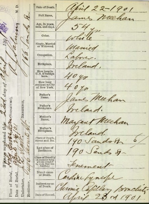 1901 Bklyn dth cert, James Meehan.jpg