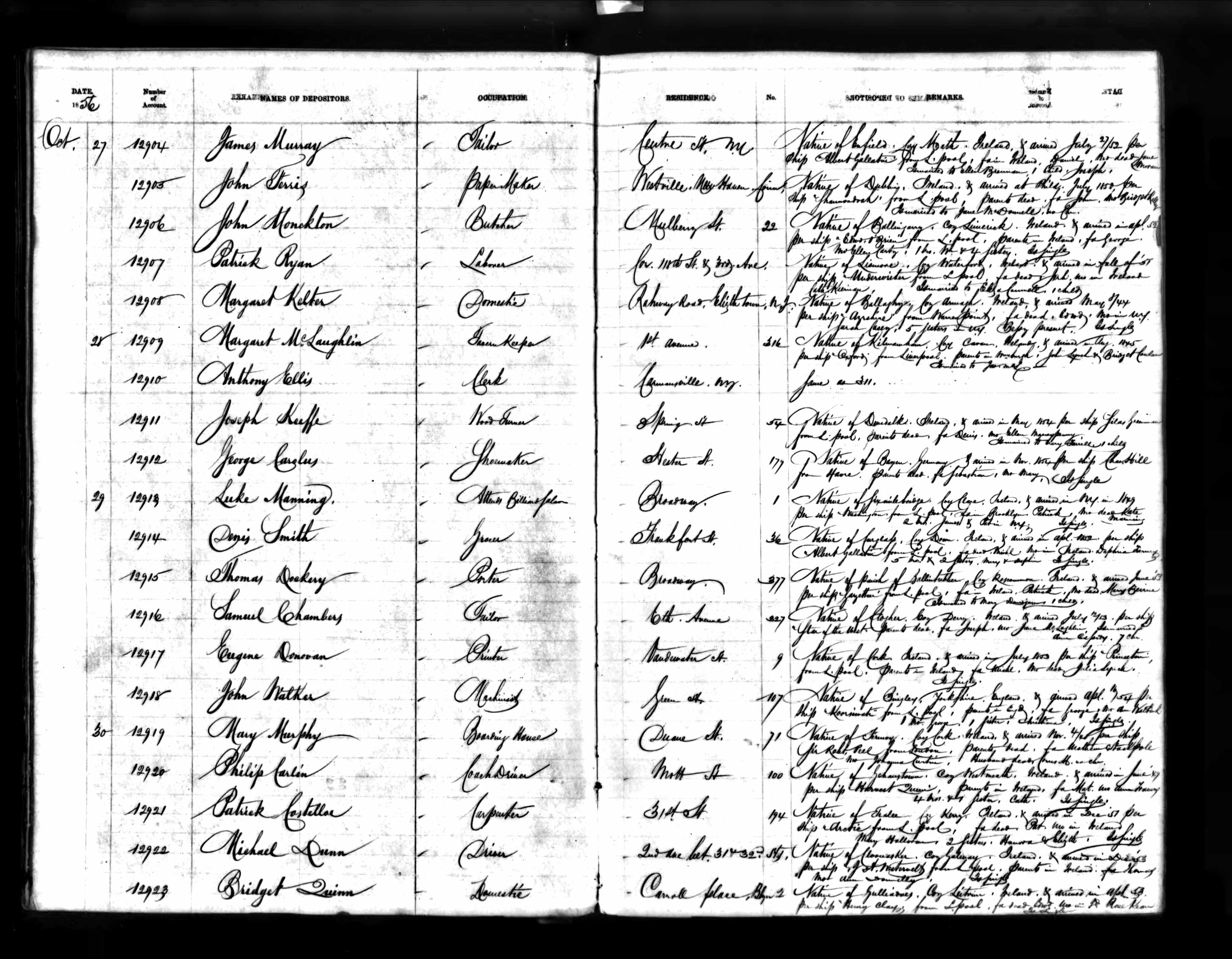 Luke Manning Emigrant Bank Test Book.jpg