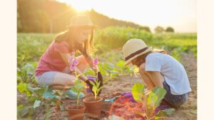 A photograph of two girls wearing sunhats planting flowers as the sun sets.